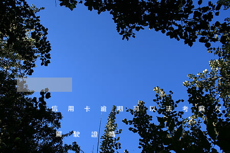 信用卡逾期可以法考嘛(欠信用卡沒還可以考駕駛證嗎)