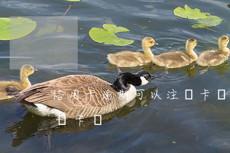 信用卡逾期可以注銷卡嗎(信用卡逾期可以注銷卡嗎)