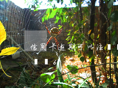 信用卡逾期可以注銷嗎6(信用卡逾期可以注銷嗎6扣)