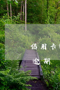 信用卡逾期可以注銷掉嗎(信用卡逾期注銷后逾期記錄能消除嗎?)