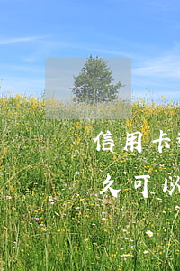 信用卡逾期可以消除不(有信用卡逾期記錄多久可以消除)