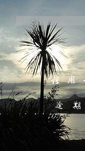 信用卡逾期可以消除不還款嗎(如果有信用卡逾期還可以申請貸款嗎)