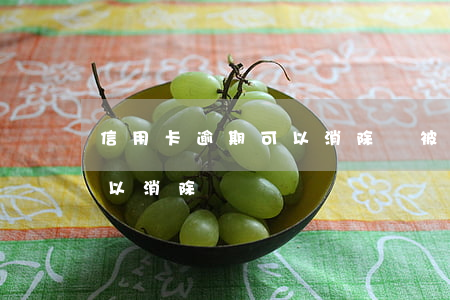 信用卡逾期可以消除嗎(被拘留信用卡逾期可以消除嗎)