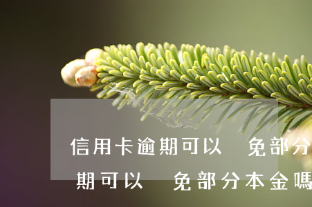 信用卡逾期可以減免部分本金嗎-信用卡逾期可以減免部分本金嗎嗎