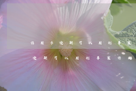 信用卡逾期可以用刑事案件起诉吗-信用卡逾期可以用刑事案件起诉吗知乎