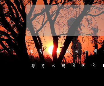 信用卡逾期可以用市民卡貸款嗎-信用卡逾期可以用市民卡貸款嗎知乎