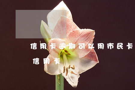 信用卡逾期可以用市民卡貸款嗎(逾期可以辦信用卡)