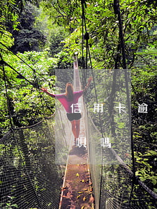 信用卡逾期可以用省唄嗎(沒信用卡可以用省唄嗎)