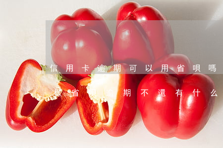 信用卡逾期可以用省唄嗎(省唄逾期不還會怎樣省唄逾期不還有什么后果)