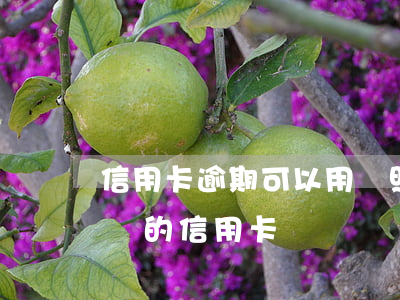 信用卡逾期可以用護照嗎(信用卡逾期能申請別的信用卡嗎)