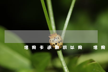 信用卡逾期可以用車(信用卡逾期可以用車)