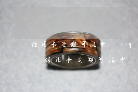 信用卡逾期可以申請(qǐng)停息分期嗎(信用卡逾期可以申請(qǐng)停息分期嗎之前的利息可以減免嗎)