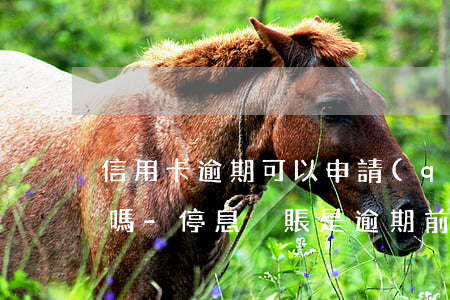 信用卡逾期可以申請(qǐng)停息掛賬嗎-停息掛賬是逾期前申請(qǐng)還是逾期后申請(qǐng)