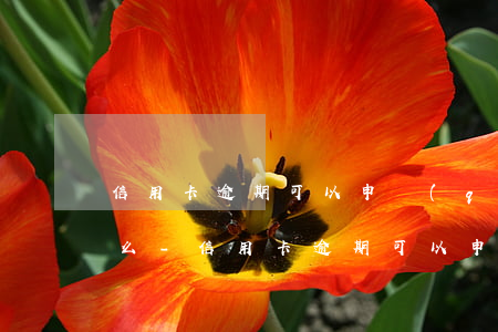 信用卡逾期可以申請(qǐng)利息減免么-信用卡逾期可以申請(qǐng)利息減免么嗎