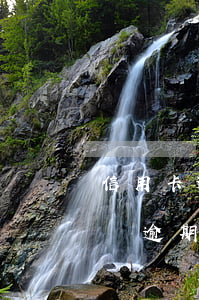 信用卡逾期可以申請(qǐng)快貸嗎(快貸逾期上征信嗎)