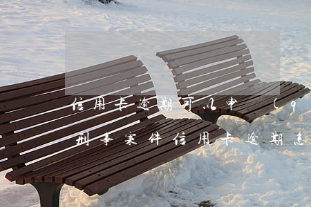 信用卡逾期可以申請(qǐng)立案嗎(因刑事案件信用卡逾期怎么辦)