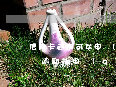 信用卡逾期可以申請(qǐng)菲律賓簽嗎(逾期能申請(qǐng)信用卡嗎)