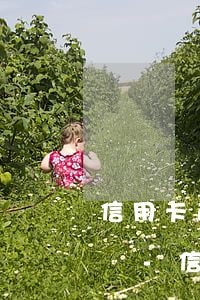信用卡逾期可以申請個人破產(chǎn)嗎-信用卡逾期可以申請個人破產(chǎn)嗎知乎