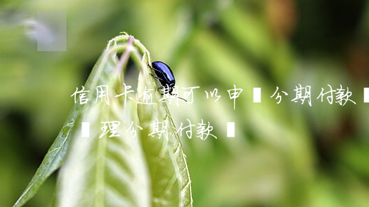 信用卡逾期可以申請分期付款嗎(逾期了不能辦理分期付款嗎)