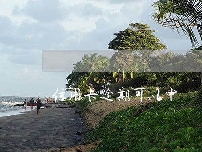 信用卡逾期可以申請帶息分期