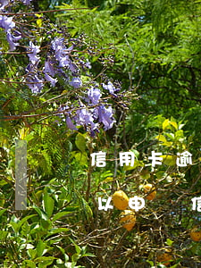 信用卡逾期可以申請法人代表 法人為什么難以申請信用卡
