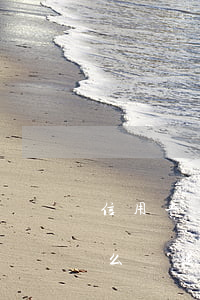 信用卡逾期可以申請滴滴司機嗎(滴滴司機怎么辦理信用卡)