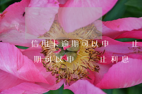 信用卡逾期可以申請終止利息嗎-信用卡逾期可以申請終止利息嗎怎么算