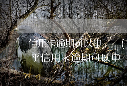 信用卡逾期可以申請網(wǎng)貸嗎知乎(信用卡逾期可以申請網(wǎng)貸嗎知乎)
