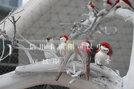 信用卡逾期可以申請財產保全嗎(信用卡逾期可以申請財產保全嗎)