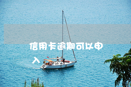 信用卡逾期可以申請黨員嗎(有逾期可以申請入黨嗎?)