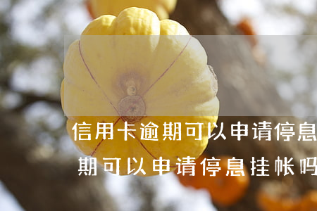 信用卡逾期可以申请停息挂帐吗-信用卡逾期可以申请停息挂帐吗知乎