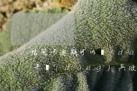 信用卡逾期可以當(dāng)兵么 欠信用卡當(dāng)兵政審能過(guò)嗎