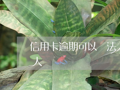 信用卡逾期可以當法人嗎(欠信用卡可以做法人嗎)