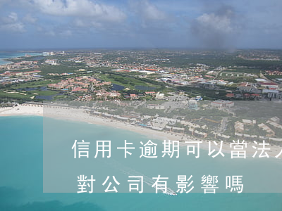 信用卡逾期可以當法人嗎(法人辦信用卡逾期對公司有影響嗎)