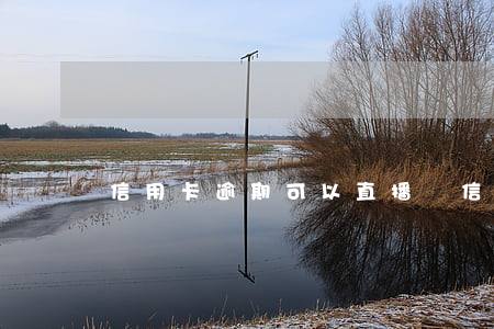 信用卡逾期可以直播嗎（信用卡逾期可以直播嗎）
