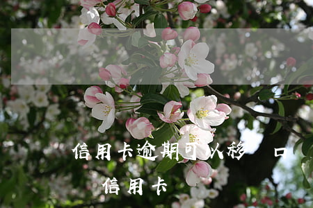 信用卡逾期可以移戶口嗎(征信有逾期可以申請信用卡嗎?)