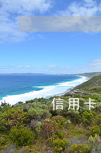 信用卡逾期可以移民(信用卡逾期)