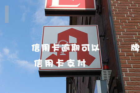 信用卡逾期可以競價車牌嗎(車牌競拍可以用信用卡支付嗎)