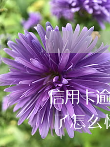 信用卡逾期可以緊急修改(不小心信用卡逾期了怎么恢復(fù))
