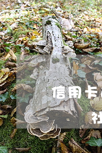 信用卡逾期可以繳納社保么(信用卡逾期可以繳納社保么)