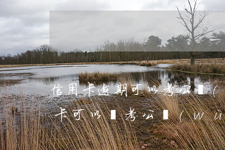 信用卡逾期可以考公務(wù)員么(欠信用卡可以報考公務(wù)員嗎)