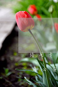 信用卡逾期可以考警察嗎(信用卡逾期了三個月公安會不會來抓人)