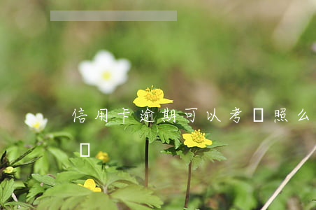 信用卡逾期可以考駕照么(征信逾期能考駕照嗎)
