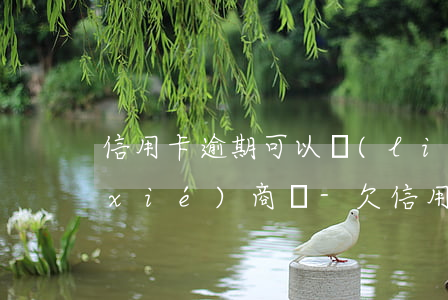 信用卡逾期可以聯(lián)系銀行協(xié)商嗎-欠信用卡可以去銀行協(xié)商還錢嗎?