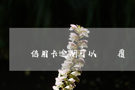 信用卡逾期可以臨時覆蓋嗎