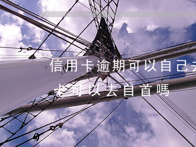 信用卡逾期可以自己去法院自首嗎-欠信用卡可以去自首嗎