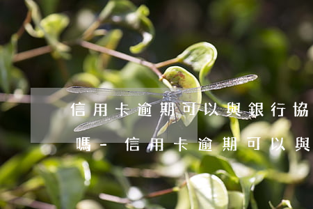 信用卡逾期可以與銀行協(xié)商撤銷嗎-信用卡逾期可以與銀行協(xié)商撤銷嗎