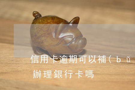 信用卡逾期可以補(bǔ)辦(信用卡逾期能辦理銀行卡嗎)