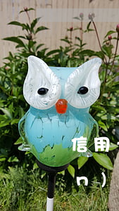 信用卡逾期可以補(bǔ)辦房產(chǎn)證(逾期后還能辦理信用卡嗎)