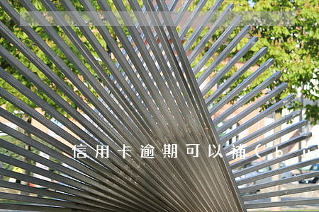 信用卡逾期可以補(bǔ)銀行卡么